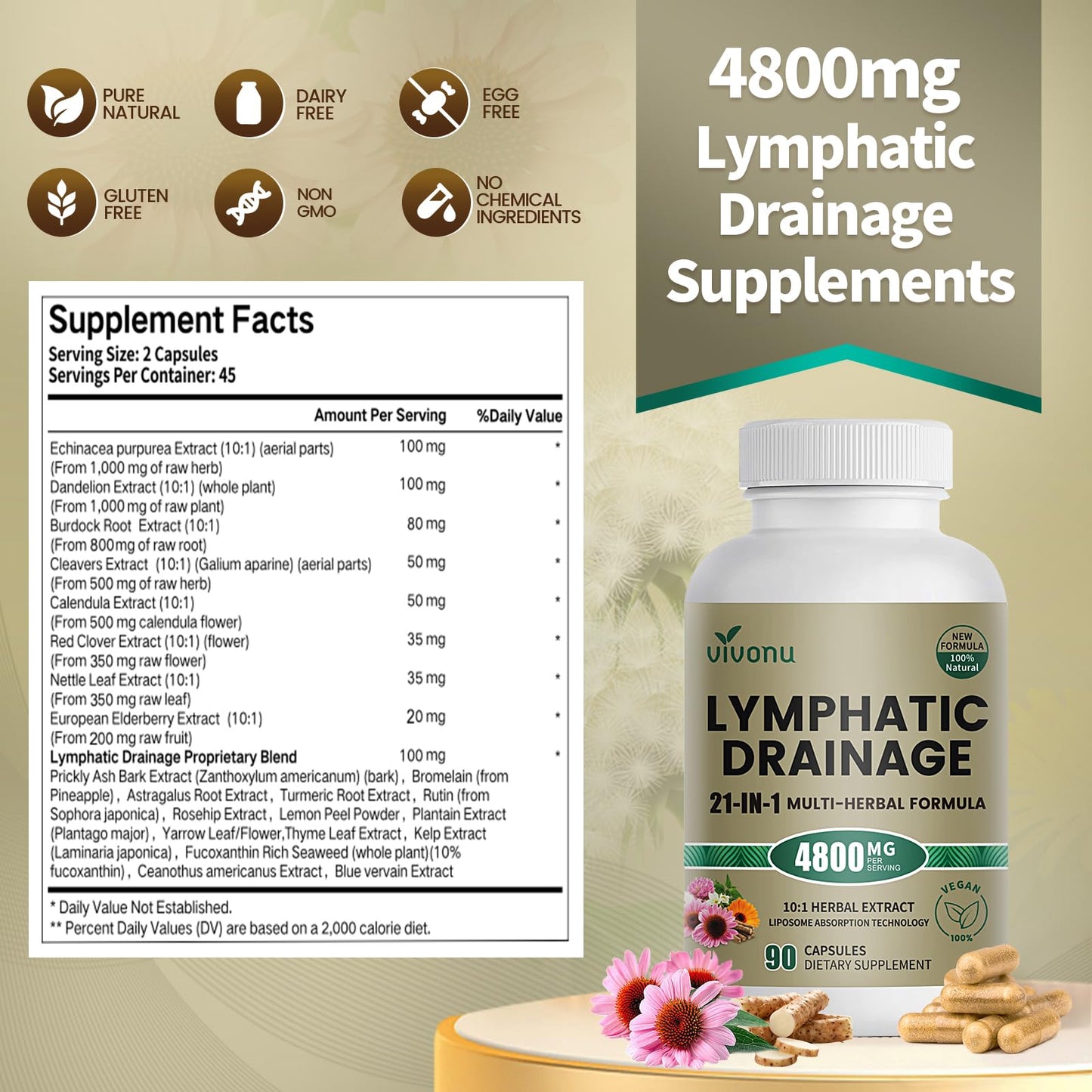 21-in-1 Liposome Lymphatic Drainage Supplements, 45 Day Supply, 4800mg Immune & Lymph System Support, 10:1 Concentrated Technology, Echinacea, Dandelion, Burdock, Bromelain, Calendula, 90 Capsules - Maple Wellness Supplements