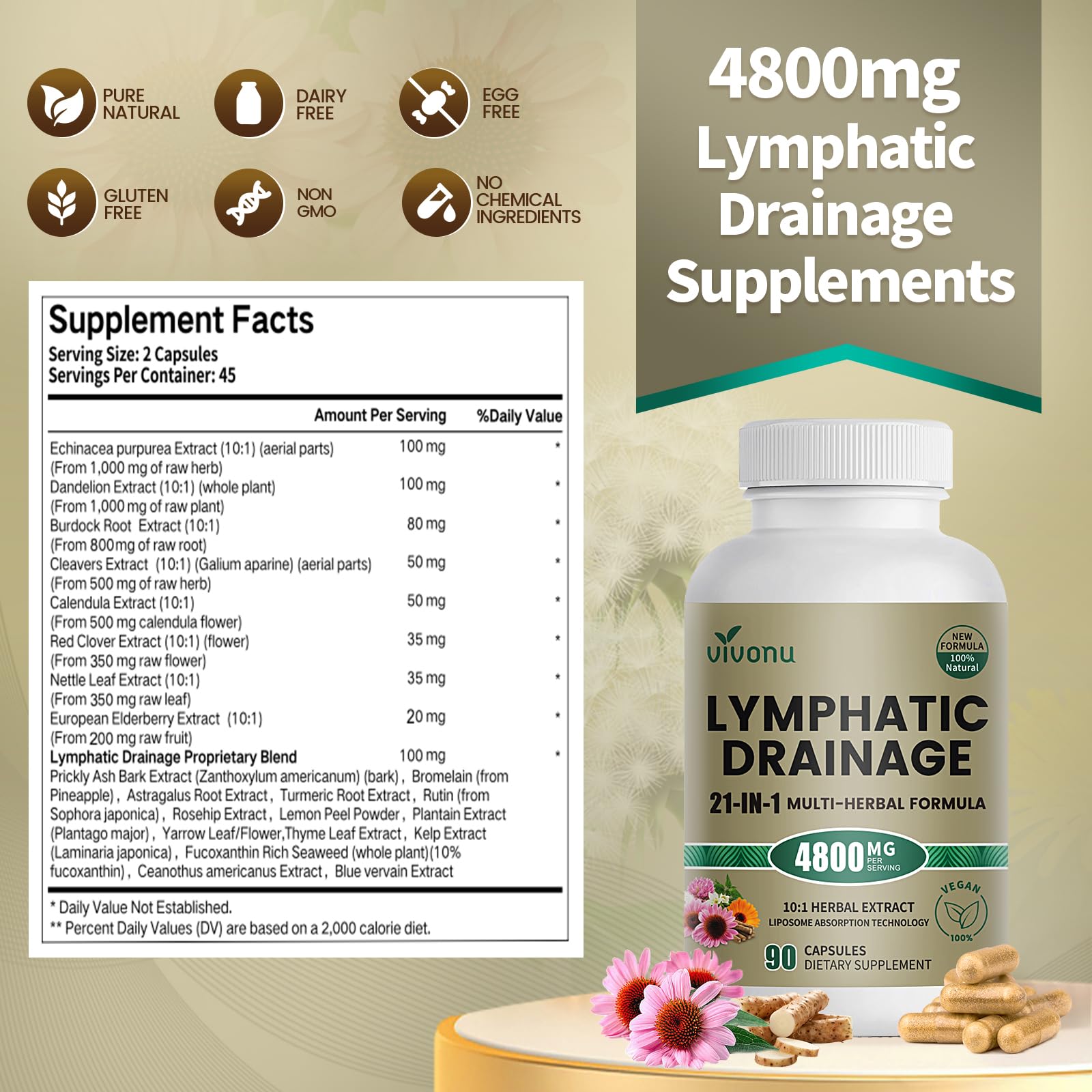21-in-1 Liposome Lymphatic Drainage Supplements, 45 Day Supply, 4800mg Immune & Lymph System Support, 10:1 Concentrated Technology, Echinacea, Dandelion, Burdock, Bromelain, Calendula, 90 Capsules - Maple Wellness Supplements