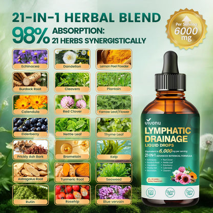 21-in-1 Lymphatic Drainage Drops for Liposomal, Immune & Lymph System Support Supplement for Women & Men with Echinacea, Dandelion - Maple Wellness Supplements