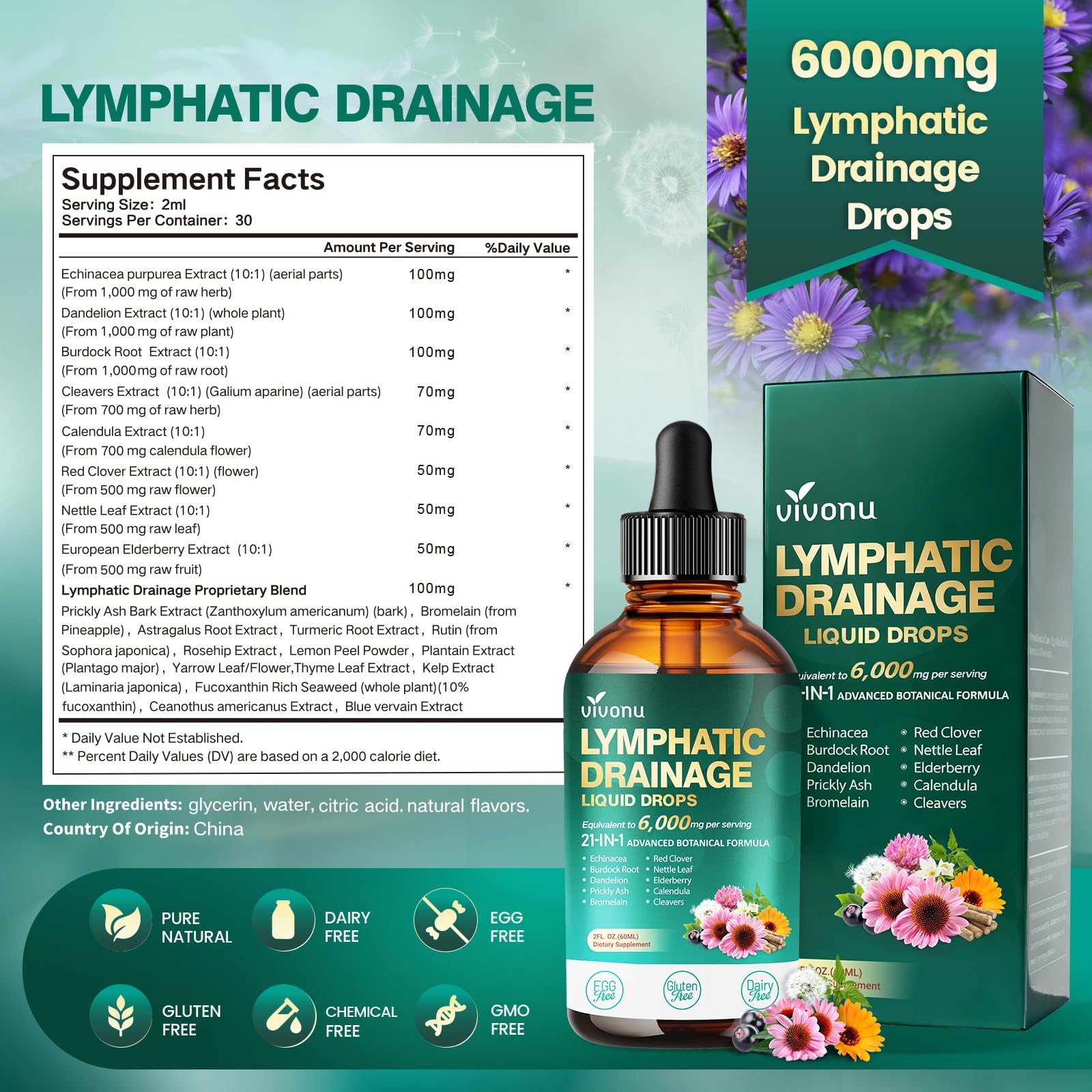 21-in-1 Lymphatic Drainage Drops for Liposomal, Immune & Lymph System Support Supplement for Women & Men with Echinacea, Dandelion - Maple Wellness Supplements