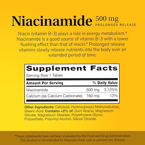 21st Century Niacinamide 500 mg Prolonged Release Tablets, 110 Count - Maple Wellness Supplements