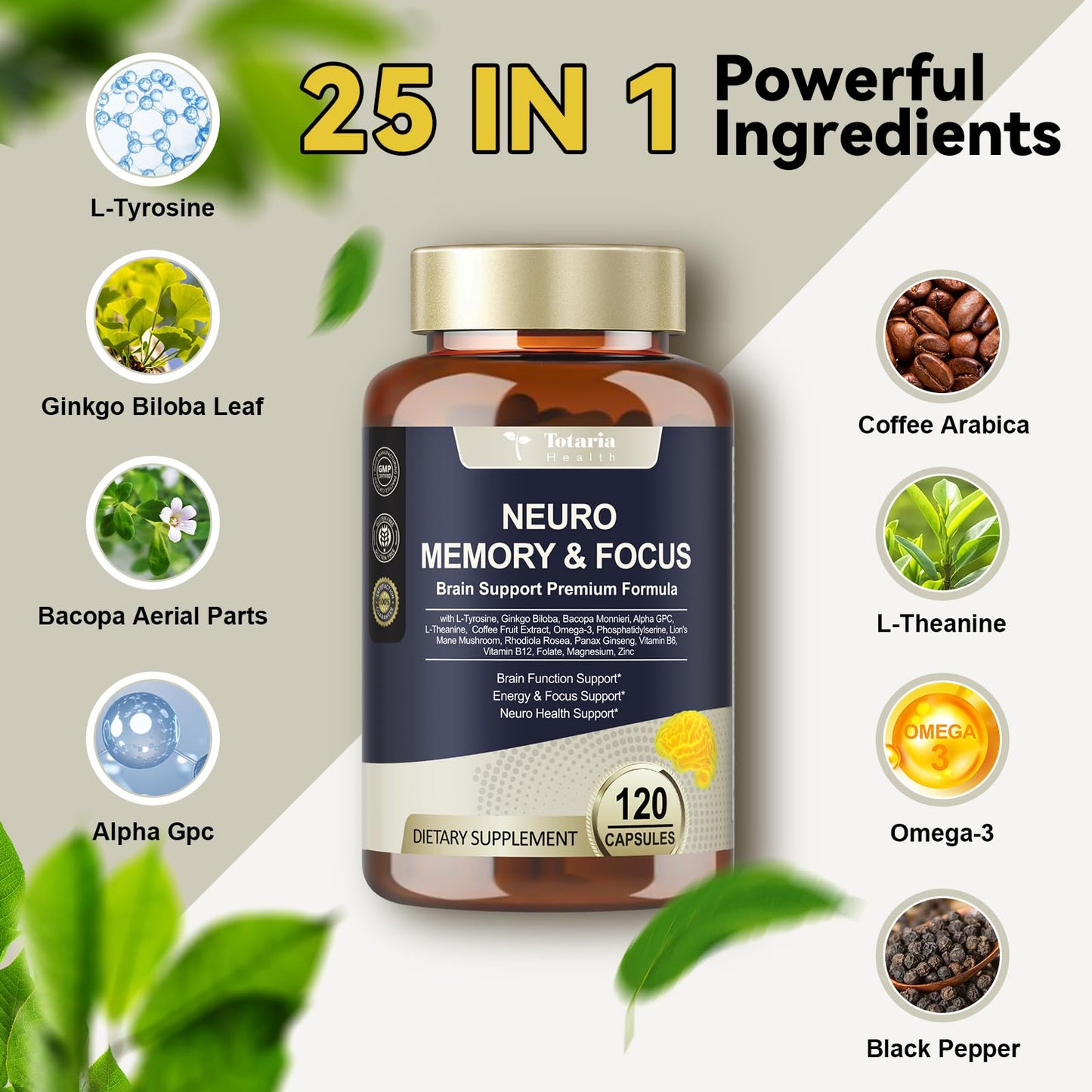25 in 1 Brain Supplements for Memory and Focus & Neuro Health - Daily Brain Nootropic Cognitive Supplement with L-Tyrosine, Bacopa Monnieri, Ginkgo Biloba, Alpha GPC - Non-GMO, Gluten Free - Maple Wellness Supplements