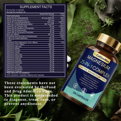 25-in-1 Magnesium Complex | Multi-Form Absorbable Blend for Daily Nutritional Support, 120 Vegan Caps (1) - Maple Wellness Supplements