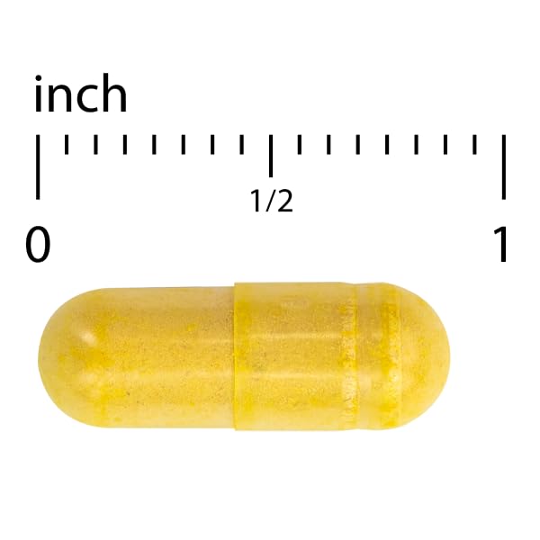Terry Naturally Arthocin - Boswellia Serrata Capsules with Devil's Claw & Curcumin - Supplement to Support Joint & Spine Health - Herbal Supplement Aids Comfort & Absorption - 60 Capsules Terry NaturallyBuy Supplements Australia