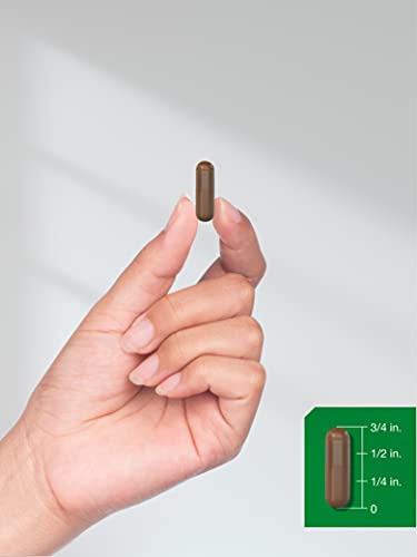 Arjuna Capsules 4000mg | 120 Count | Non-GMO, Gluten Free | from Arjuna Bark Herb HorbäachBuy Supplements Australia