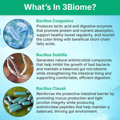 3Biome - Natural Probiotic Supplement - Non-GMO, Vegan, Gluten-Free - Maple Wellness Supplements