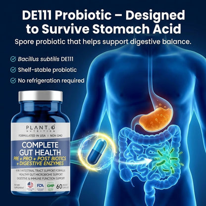 4-in-1 Gut Health Support – Prebiotics + Probiotics + Postbiotics + Digestive Enzymes – DE111 Spore Probiotic for Digestive Support & Bloating - Maple Wellness Supplements