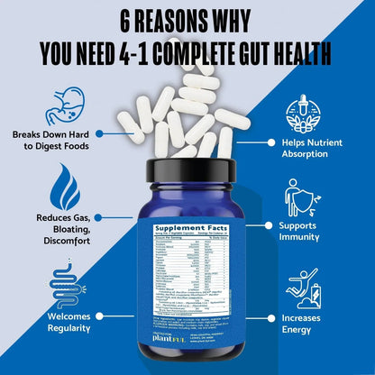 4-in-1 Pre Post Probiotics & Digestive Enzymes - Complete Gut Health & Digestive Support for Women & Men - Prebiotic Probiotic & Postbiotic Gas & Bloating Relief – 60 Non GMO Capsules - Maple Wellness Supplements