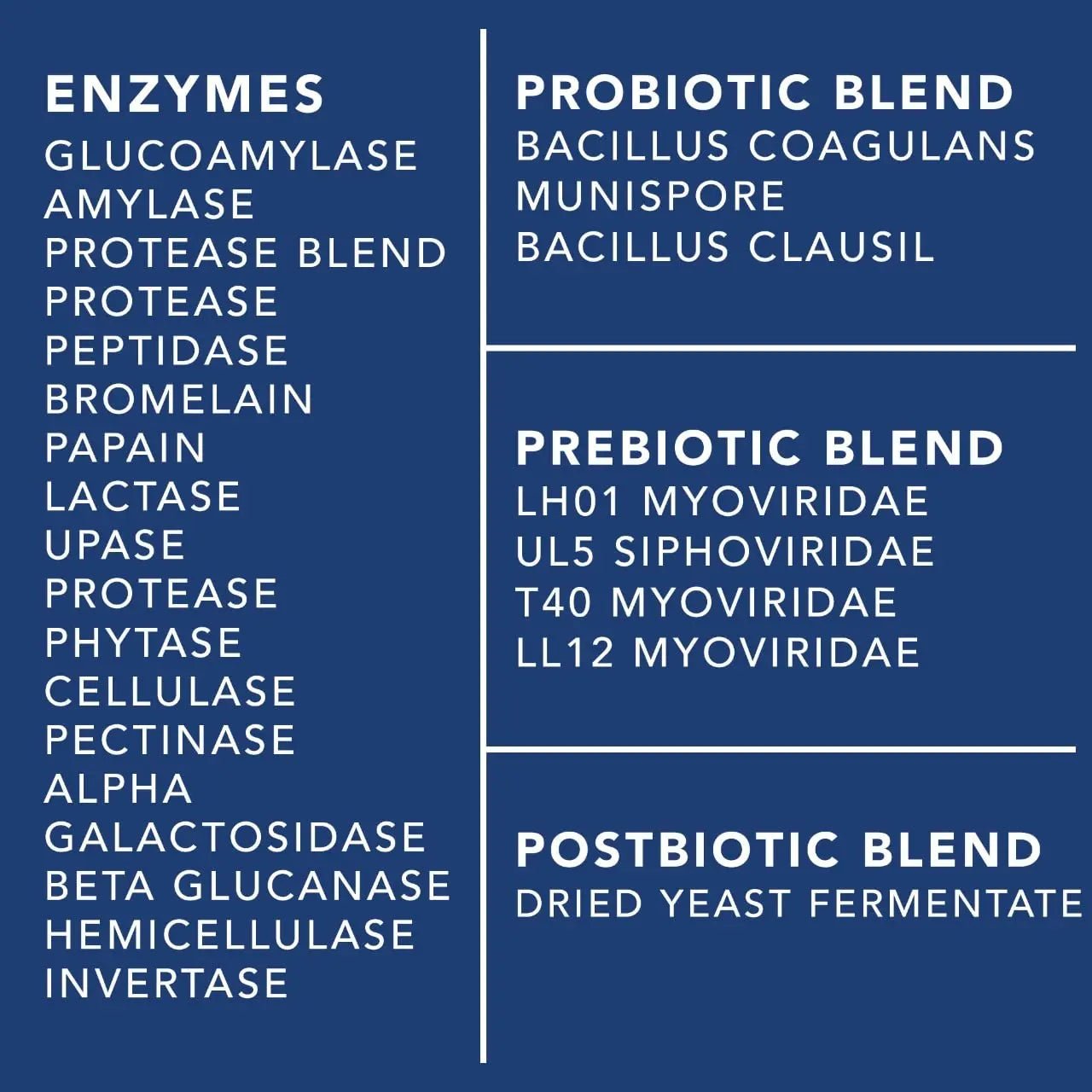 4-in-1 Prebiotic Probiotic & Postbiotic for Women & Men, Complete Gut & Digestive Support Supplement, Pre Post Probiotics & Digestive Enzymes 60 Capsules - Maple Wellness Supplements