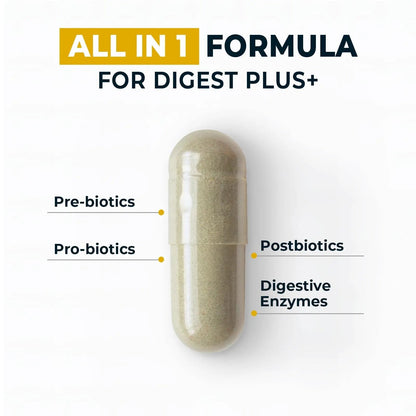 4-in-1 Prebiotic Probiotic & Postbiotic for Women & Men, Complete Gut & Digestive Support Supplement, Pre Post Probiotics & Digestive Enzymes 60 Capsules,Made in USA - Maple Wellness Supplements