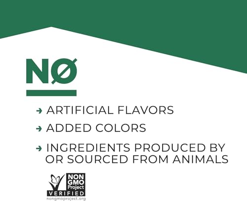 Evolve Plant Based Protein Shake, Café Mocha, 20g Vegan Protein, Dairy Free, No Artificial EvolveBuy Supplements Australia
