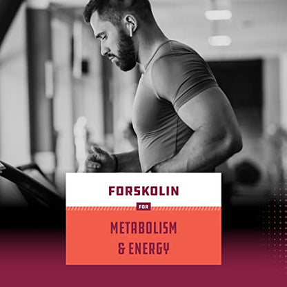Max Strength Forskolin Weight Loss Supplement for Men and Women - Fast Acting Diet Pills Natures CraftBuy Supplements Australia