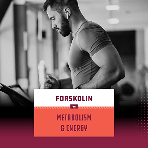 Pure Forskolin Extract for Weight Loss Supplement Powerful Antioxidant - Maximum Strength Natures CraftBuy Supplements Australia
