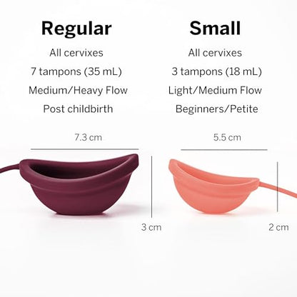 Pixie Menstrual Cup Sterilizer + Large & Small Pixie Disc - Kill 99.9% of Germs with Menstrual Cup Pixie CupBuy Supplements Australia
