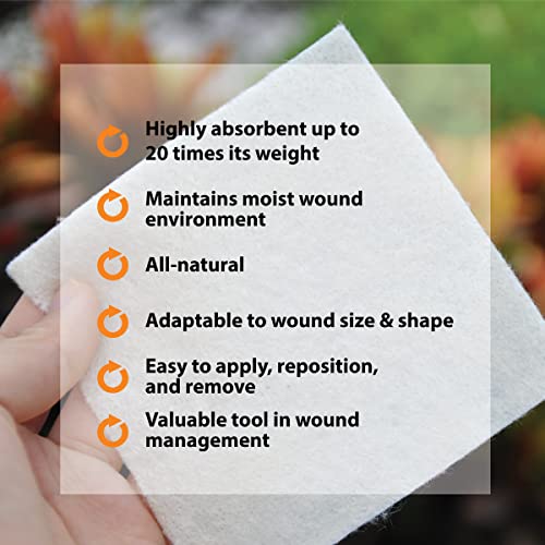 Pivot Calcium Alginate Wound Dressing – All-Natural First Aid | 4x5 Dressin LMP LINKS MEDICAL PRODUCTS INC.Buy Supplements Australia