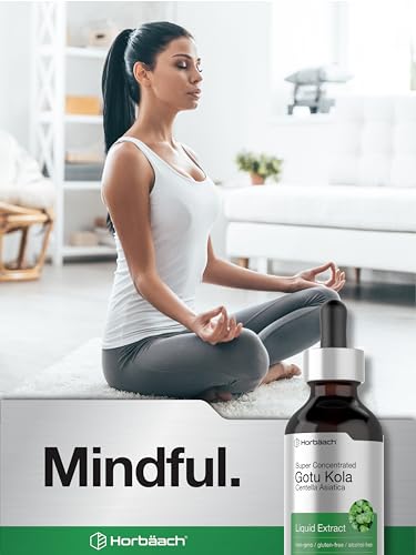 Gotu Kola Extract | 2 fl oz | Alcohol Free | Super Concentrated Liquid Herb Supplement HorbäachBuy Supplements Australia