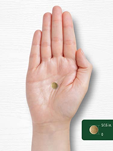 Carlyle Ginkgo Biloba 3000mg | 400 Tablets | Non-GMO, Gluten Free CarlyleBuy Supplements Australia