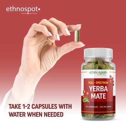 Full Spectrum Yerba Mate Capsules - Boosts Energy & Mental Focus - Supports Health EthnospotBuy Supplements Australia