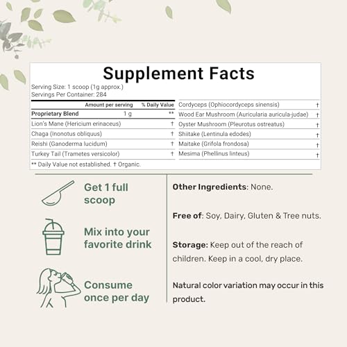 Sustainably US Grown, Organic Mega Mushroom 10 in 1 Complex Formula Powder Micro IngredientsBuy Supplements Australia