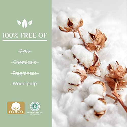 Organyc New and Improved 100% Certified Organic Cotton Overnight Feminine Pads OrganycBuy Supplements Australia