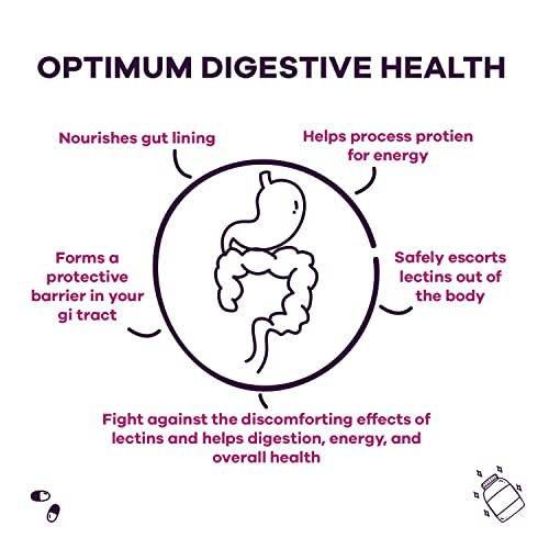 GOBIOTIX Lectin Defense - Lectin Blocker Supplement with MSM and Digestive Enzymes GOBIOTIXBuy Supplements Australia