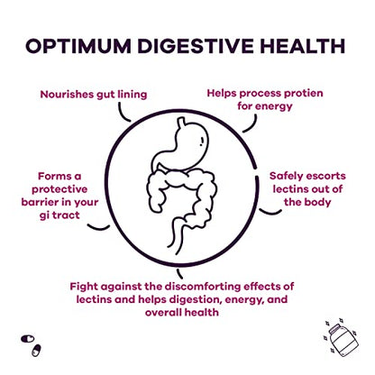GOBIOTIX Lectin Defense - Lectin Blocker Supplement with MSM and Digestive Enzymes GOBIOTIXBuy Supplements Australia