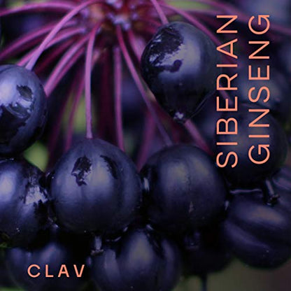 CLAV® Siberian Ginseng - 900mg Eleuthero Root Powder - Energy Supplement CLAVBuy Supplements Australia