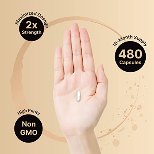 NatureBell Zinc Picolinate 100mg, 480 Count Capsules - Supports Immune System NatureBellBuy Supplements Australia