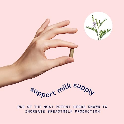 Goat's Rue Lactation Supplement For Increased Breast Milk, Lactation Supplement Mommy Knows BestBuy Supplements Australia
