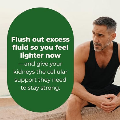 LifeSeasons Kidney Support Supplement – Cellular Protection with NAC, Alpha Lipoic Acid, Resveratrol, Burdock Root & Vitamin D3 – Supports Detox, Oxidative Stress & Renal Function – 120 Capsules LifeSeasonsBuy Supplements Australia