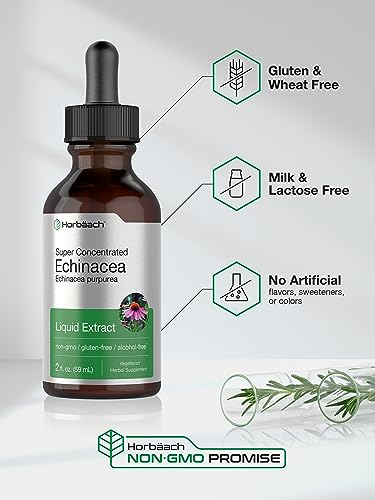Echinacea Drops Liquid Extract | 2 fl oz | Super Concentrated Tincture | Alcohol Free HorbäachBuy Supplements Australia
