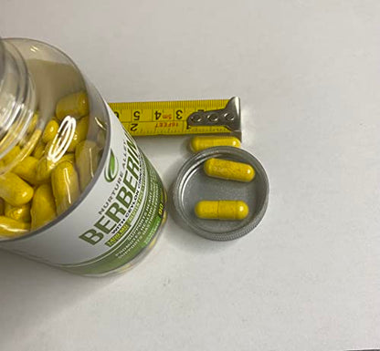 Nurture Alley Berberine Complex - Berberine HCL 1200mg Plus Organic Ceylon Cinnamon NURTURE ALLEYBuy Supplements Australia