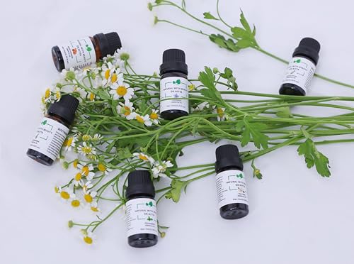 Essential Oils Set 100% Pure Natural DR.NITTA Top 6 Oils for Massage,Diffusers,Humidifier DR.NITTABuy Supplements Australia