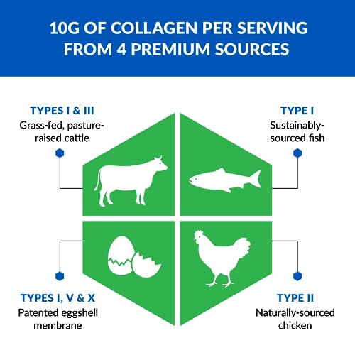BioTrust Ageless Multi Collagen Peptides Powder – 5 Types (I, II, III, V, X) – Hydrolyzed BioTrustBuy Supplements Australia