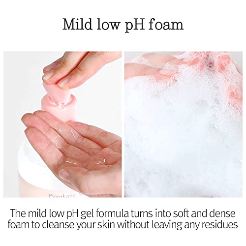 Pyunkang Yul Low pH Feminine Wash with Green Tea, Cica, Moisturizing for Women Vaginal Health Pyunkang YulBuy Supplements Australia