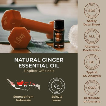 Gya Labs Ginger Oil for Comfort - Natural Ginger Essential Oil for Massage Oil - Ginger Oil Gya LabsBuy Supplements Australia