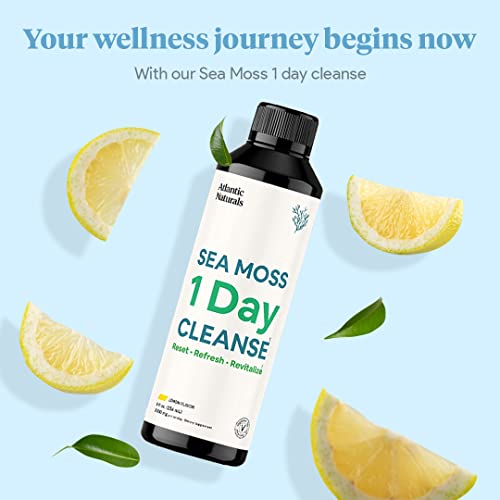 Sea Moss 1 Day Cleanse - Full Body Detox to support bowel movements, Kidney Health Atlantic NaturalsBuy Supplements Australia