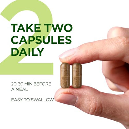Green Tea Extract-Natural Appetite Suppressant for Weight Loss for Women and Men-Green PHYTOCHOICEBuy Supplements Australia