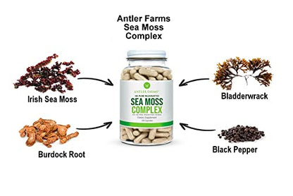 Antler Farms – 100% Pure Sea Moss Complex, 130 Capsules, Organic & Wildcrafted Irish Antler FarmsBuy Supplements Australia