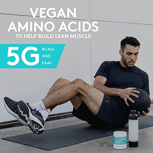 RSP Nutrition Mango Aminolean Amino Acid Supplement Powder, 8.29 OZ RSP NUTRITIONBuy Supplements Australia