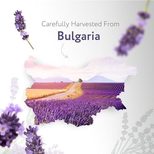 HBNO Organic Lavender Essential Oil - 1 oz (30ml) Value Size - USDA Certified Organic Lavender HBNOBuy Supplements Australia