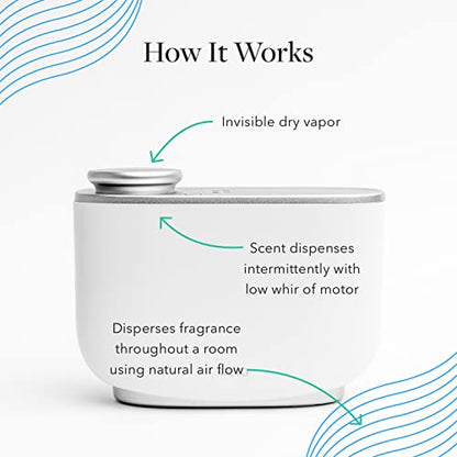 Aera Majestic Fir Home Fragrance Scent Refill - Notes of Fir and Juniper - Works with The Aera Diffuser AERABuy Supplements Australia
