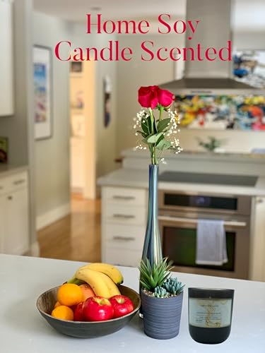 Sandalwood Bourbon Non-Toxic Candles | Natural Candles for Men |Aromatherapy Candle Relaxing Terreux Mind & BodyBuy Supplements Australia