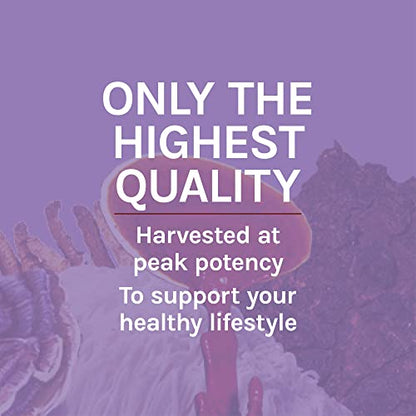 Host Defense, Lion's Mane Capsules, Promotes Mental Clarity, Focus and Memory Host DefenseBuy Supplements Australia