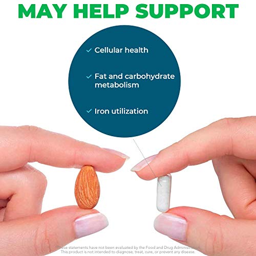 Seeking Health Molybdenum 500, Molybdenum Glycinate Chelate Supplement Seeking HealthBuy Supplements Australia