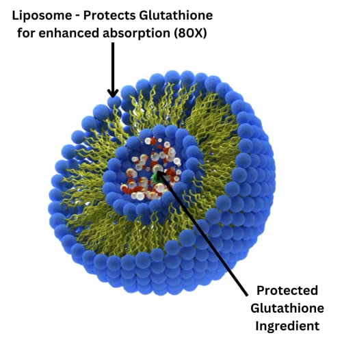 Research Labs Liposomal Glutathione Supplement w/Gluta-IV™, 100x Enhanced Absorption Research LabsBuy Supplements Australia