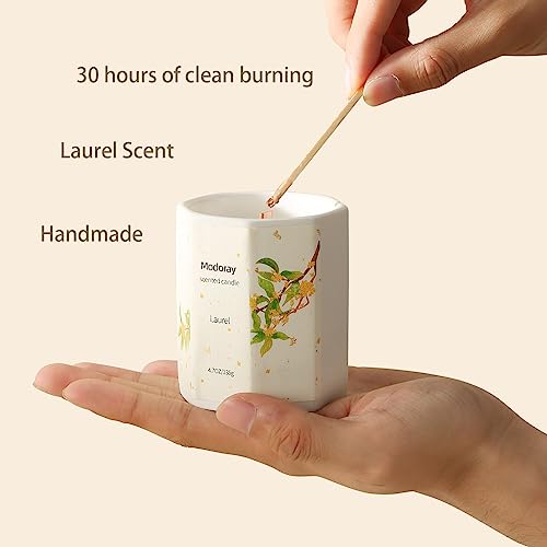 Modoray Scented Candle, Candles for Home Scented, Aromatherapy Candle，Long Lasting Natural ModorayBuy Supplements Australia
