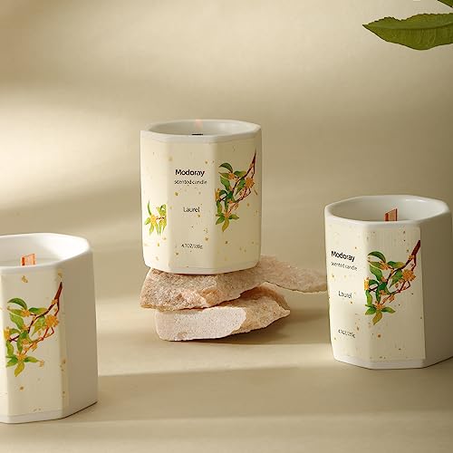 Modoray Scented Candle, Candles for Home Scented, Aromatherapy Candle，Long Lasting Natural ModorayBuy Supplements Australia