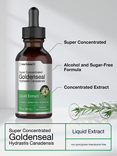Goldenseal Root Extract Liquid | 1 fl oz Tincture | Super Concentrated | Alcohol Free HorbäachBuy Supplements Australia