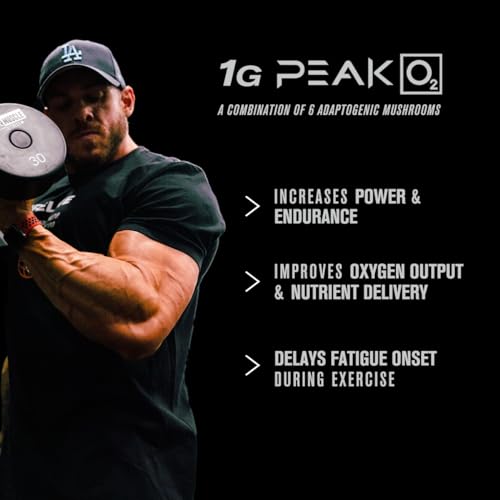 Jacked Factory Build-XT Daily Muscle Builder & Performance Enhancer Jacked FactoryBuy Supplements Australia